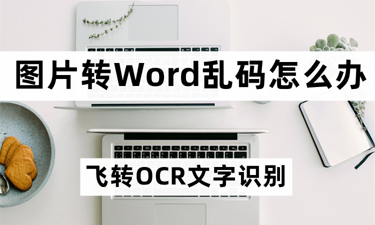 图片转Word乱码怎么办